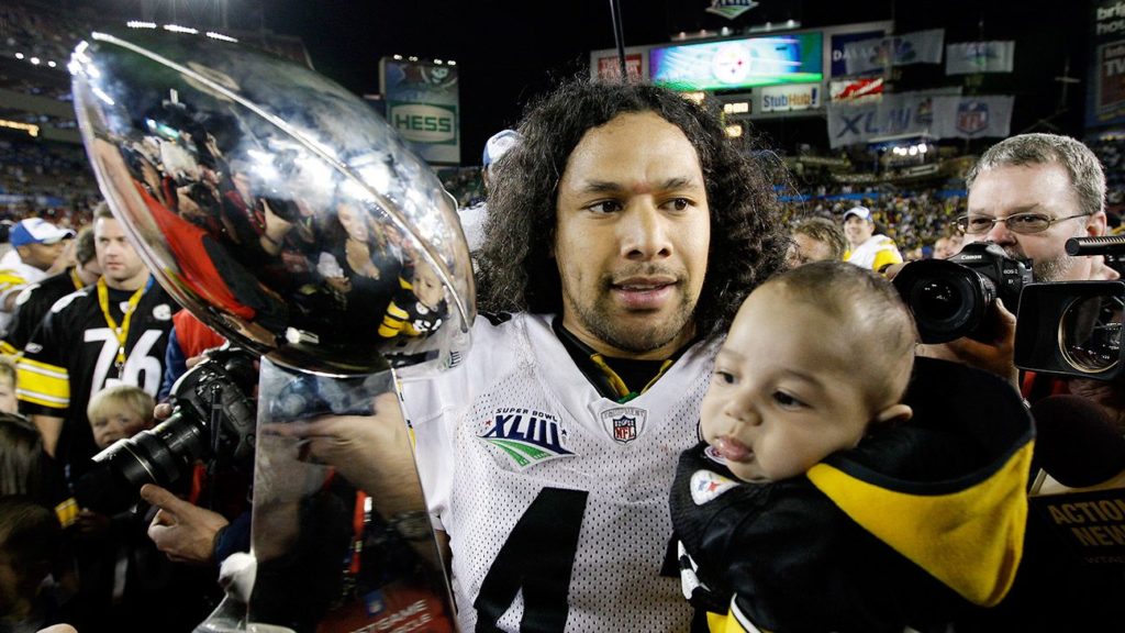 Polamalu, former WR Wayne finalists for Canton - Tech1 Media