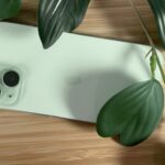Smartphone with dual camera lenses on a light wooden surface, surrounded by large, dark green leaves.