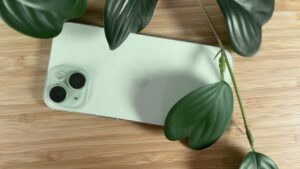 Apple seeks 4k in legal fees returned after class action kerfuffle
