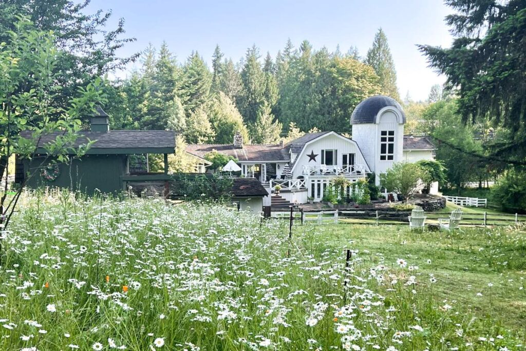 How to Find Airbnb Farm-Like Rentals Without the Restrictions