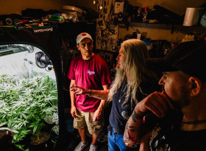 ILGM Sparks up Community Connection on its Cannabis Home Grow Tour