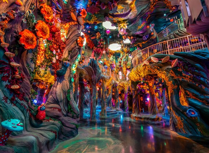 Meow Wolf and Niantic Spatial explore expansion of multimedia art with AR