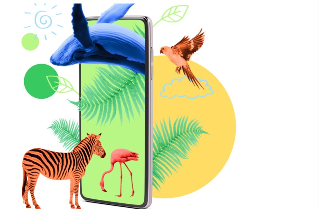 Dots.eco is a platform for real-world environmental rewards in games Dots.eco is a platform for real-world environmental rewards in games