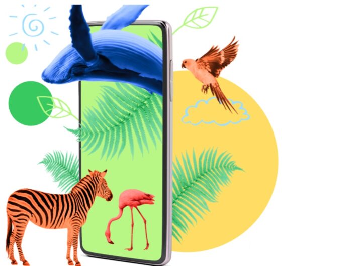 Dots.eco is a platform for real-world environmental rewards in games