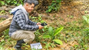 Why Offsets Still Matter and Other Insights From an Event Sustainability Expert