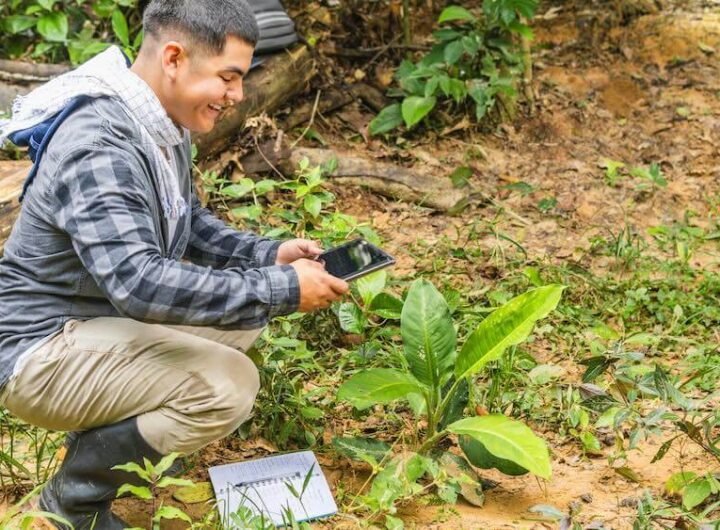Why Offsets Still Matter and Other Insights From an Event Sustainability Expert
