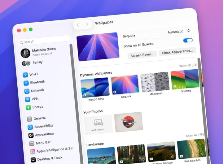 Wallpaper Engine doesn’t exist on Mac, but there are alternatives