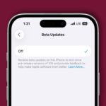Smartphone screen displaying beta updates setting turned off, with an informational message about test-driving pre-release iOS versions.