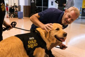 The Brief: SmashCams and Gold Squads