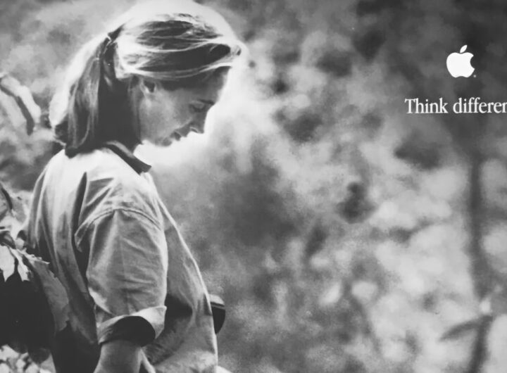 Jane Goodall has one last collaboration with Apple Jane Goodall has one last collaboration with Apple