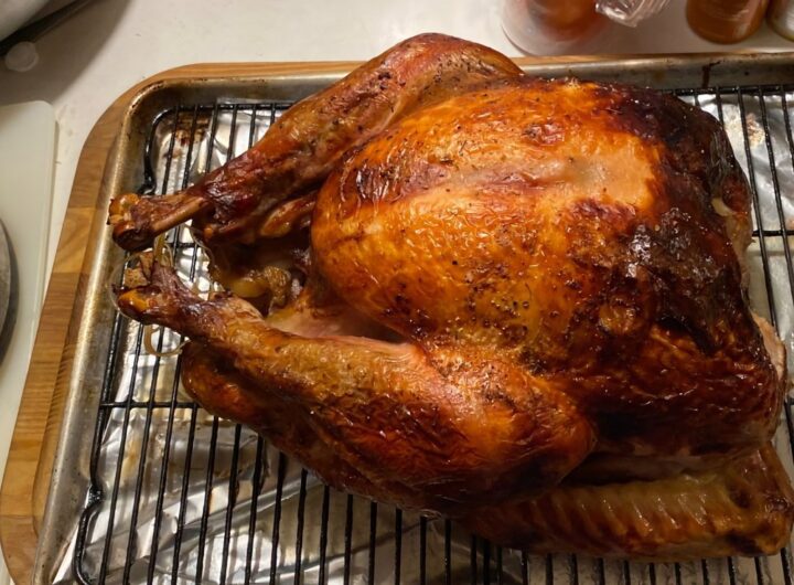 Happy Thanksgiving 2025 from AppleInsider