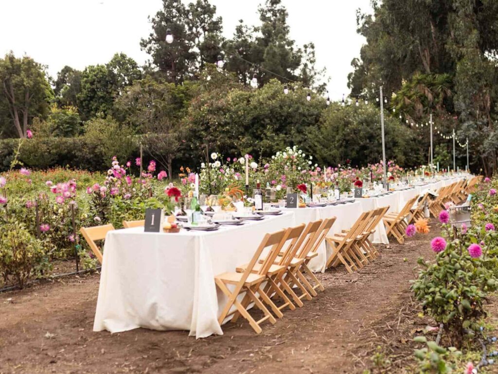 The 5 Best Wedding Planners in Washington