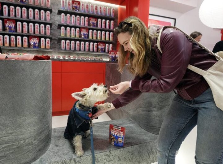 Experiential Marketing Trend of the Week: Dog-First Events