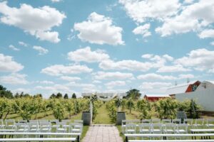 How & Where to Rent an Airbnb for a Wedding Venue in Kansas City