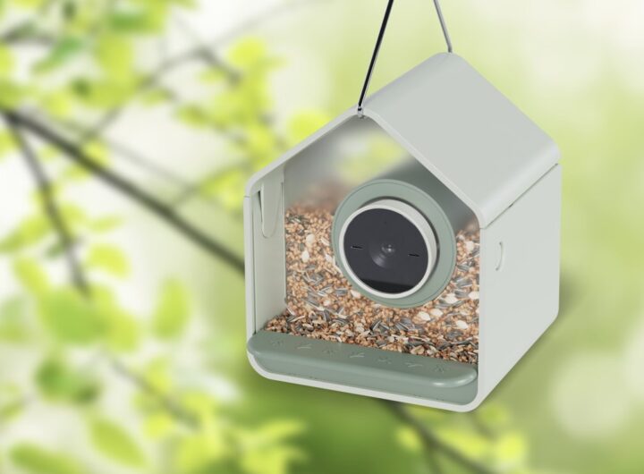 BirdBuddy 2 mini smart feeder films wildlife with a 2K camera
