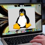 Person using a MacBook laptop displaying the Linux Tux penguin logo in a browser window, with a camera lens and small plant on the desk beside the computer
