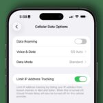 Cellular Data Options shown via a screenshot of an iPhone, framed against a green background