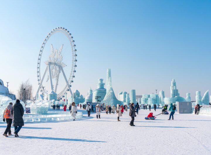 The Brief: Frozen Cities and Sky-High Sports