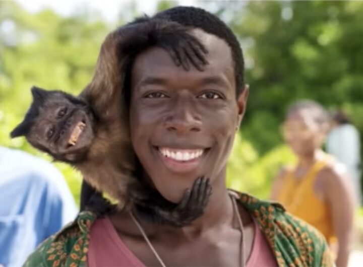 Apple wants you to know that human creativity still powers its services