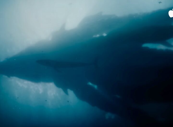 ‘Monarch’ season two signals a darker, riskier future for the Monsterverse