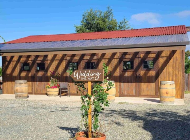 Top 9 Wedding Planners in Colorado